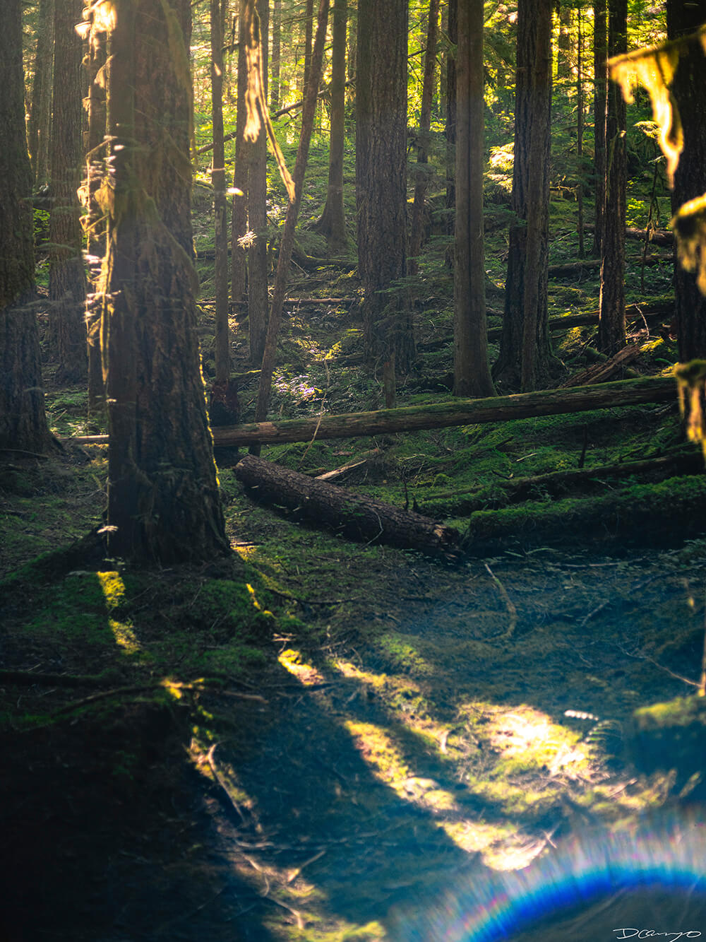 Landscape and portrait photos from a July 2020 trip to the North Cascades. Sourdough Mountain, Diablo Lake, Ross Lake and more.
